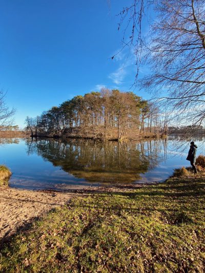 Die wilde Badestelle am Großen Mochowsee ist ideal zum Schwimmenlernen- hüpf vom Ponton ins Wasser oder erkunde die Liebesinsel!