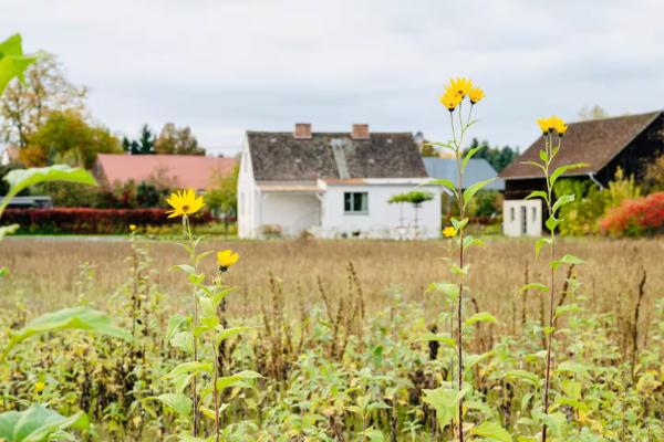Der kleine Hof mit unserem Ferienhaus liegt am Rand des Dorfes Butzen nahe Straupitz.